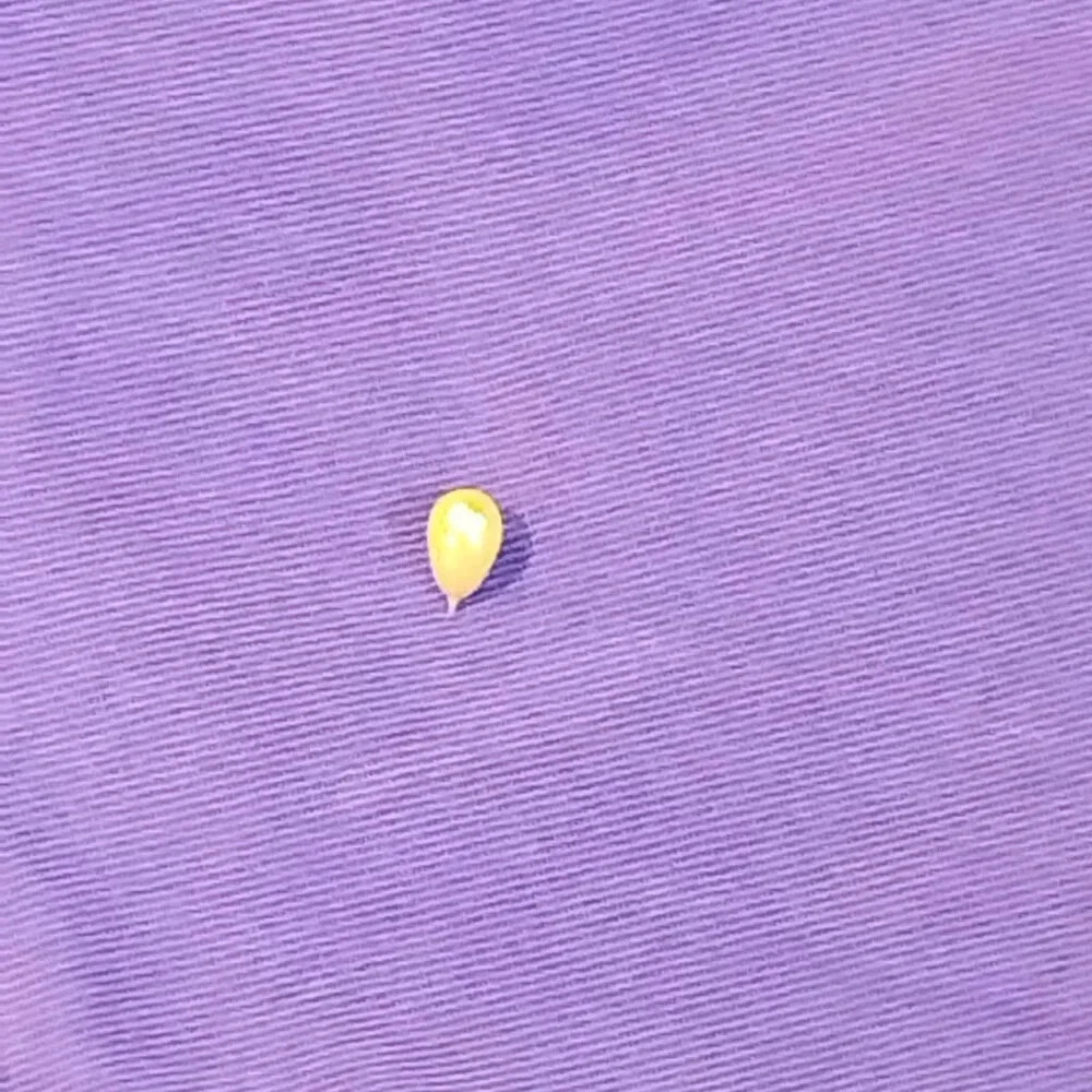 Women's Purple Cotton Short Sleeve 2 Pocket Cotton Shirt NO NAME  NO TAGS - Picture 9 of 11